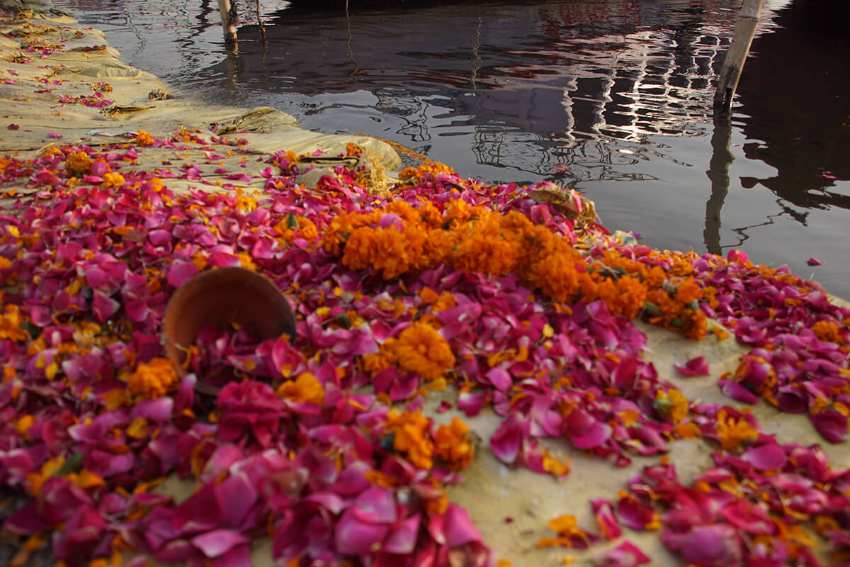 fleurs gange